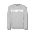 Ordinary Grey Sweater