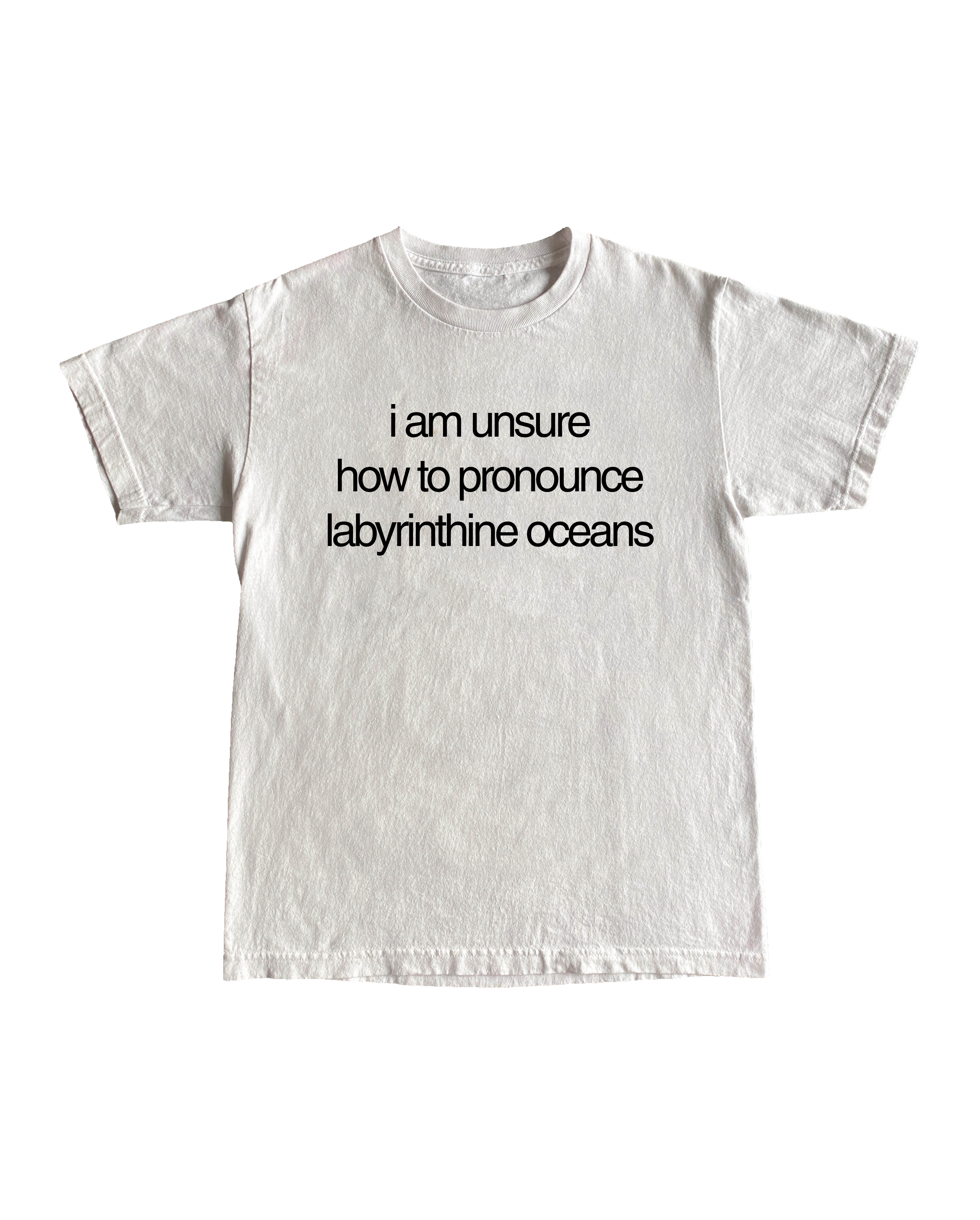'i am unsure how to pronounce labyrinthine oceans' T-shirt